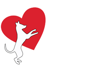TEAM Dog Rescue