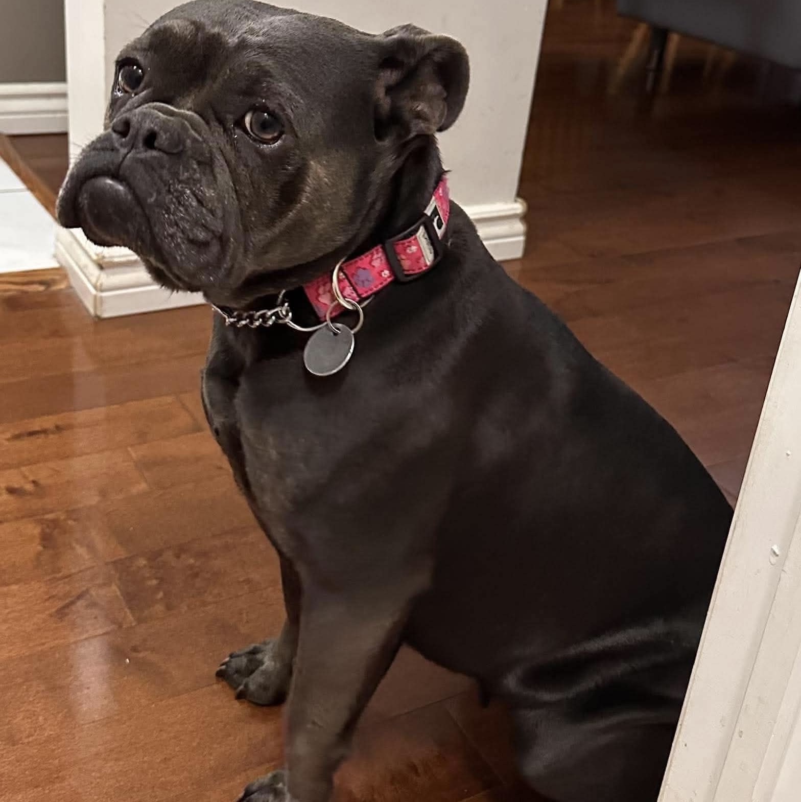 Picture of Sabrina