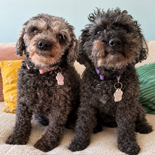 Picture of Queenie & Summer